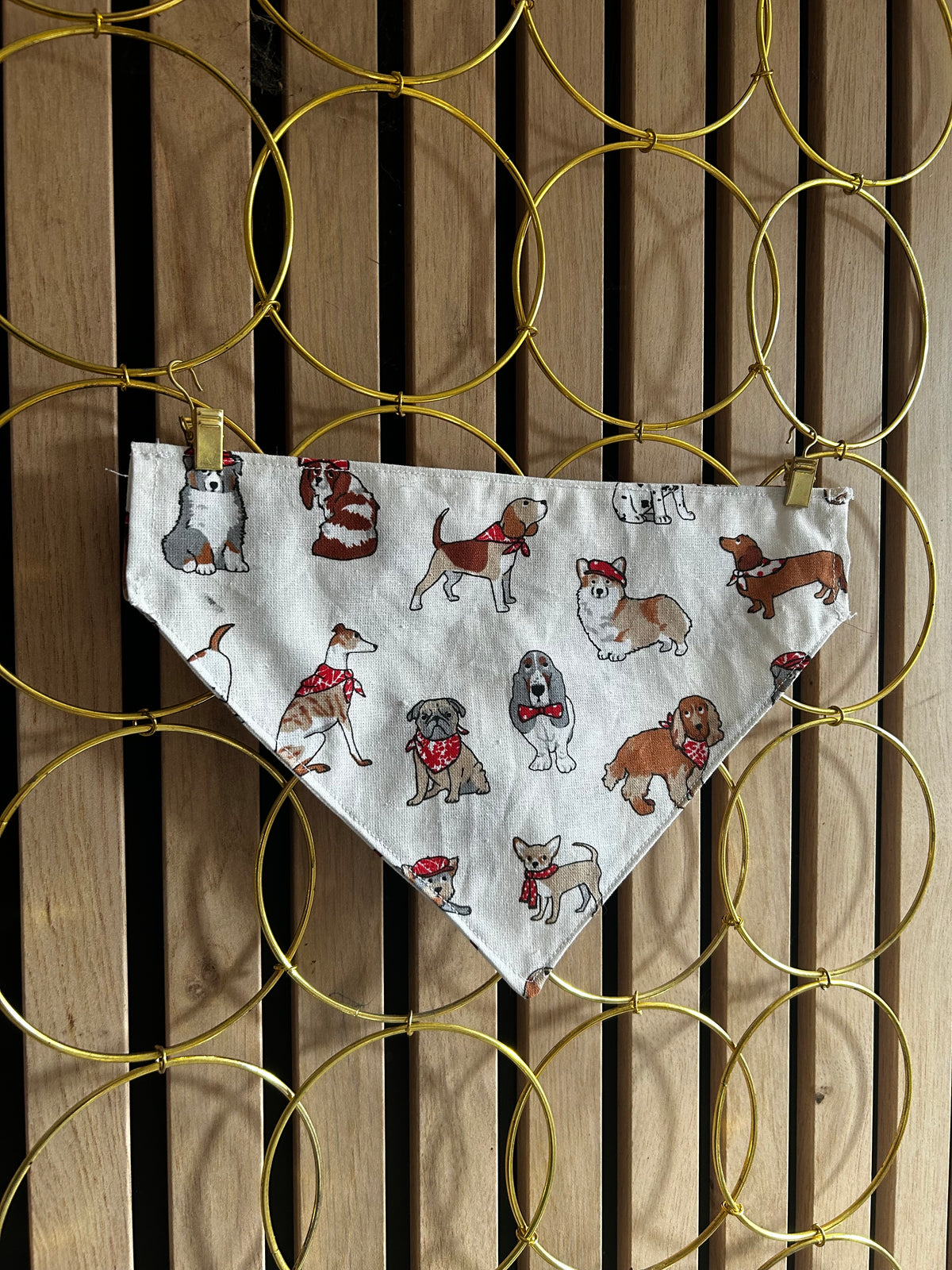 Bandana mélange chien 🐶